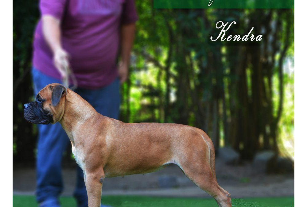 Kendra